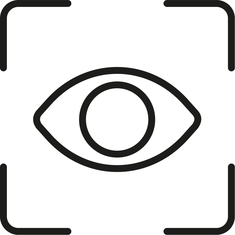 Vision